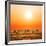 Zebras Herd on Savanna at Sunset, Africa. Safari in Serengeti, Tanzania-Michal Bednarek-Framed Photographic Print