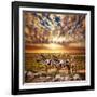 Zebras Herd on Savanna at Sunset, Africa. Safari in Serengeti, Tanzania-Michal Bednarek-Framed Photographic Print