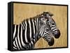 Zebras Herding in The Fields, Maasai Mara, Kenya-Joe Restuccia III-Framed Stretched Canvas