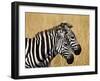 Zebras Herding in The Fields, Maasai Mara, Kenya-Joe Restuccia III-Framed Photographic Print