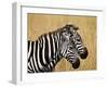 Zebras Herding in The Fields, Maasai Mara, Kenya-Joe Restuccia III-Framed Photographic Print