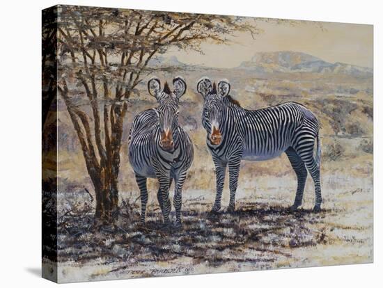 Zebras II-Peter Blackwell-Stretched Canvas