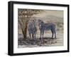 Zebras II-Peter Blackwell-Framed Art Print