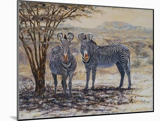 Zebras II-Peter Blackwell-Mounted Art Print