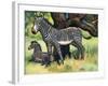 Zebras, Illustration from 'Pads, Paws and Claws', 1924-null-Framed Giclee Print