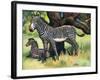 Zebras, Illustration from 'Pads, Paws and Claws', 1924-null-Framed Giclee Print