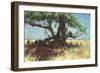 Zebras in the Steppe-Wilhelm Kuhnert-Framed Giclee Print