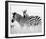 Zebras in the Tall Grass Full Bleed (b&w)-Martin Fowkes-Framed Giclee Print