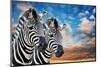 Zebras in the Wild-igor stevanovic-Mounted Photographic Print