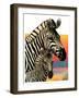 "Zebras,"June 25, 1932-Jack Murray-Framed Giclee Print