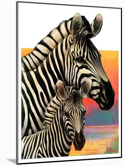 "Zebras,"June 25, 1932-Jack Murray-Mounted Giclee Print