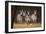 Zebras Looking-Howard Ruby-Framed Premium Photographic Print