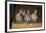 Zebras Looking-Howard Ruby-Framed Photographic Print