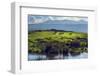 Zebras on Green Grassy Hill. Ngorongoro Crater, Tanzania, Africa-Michal Bednarek-Framed Photographic Print