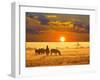 Zebras on Lake-Andrushko Galyna-Framed Photographic Print