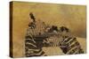 Zebras on Ochre-Whoartnow-Stretched Canvas