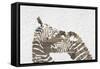 Zebras on White-Whoartnow-Framed Stretched Canvas