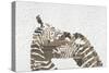 Zebras on White-Whoartnow-Stretched Canvas