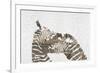 Zebras on White-Whoartnow-Framed Giclee Print