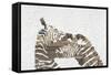 Zebras on White-Whoartnow-Framed Stretched Canvas