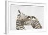 Zebras on White-Whoartnow-Framed Giclee Print