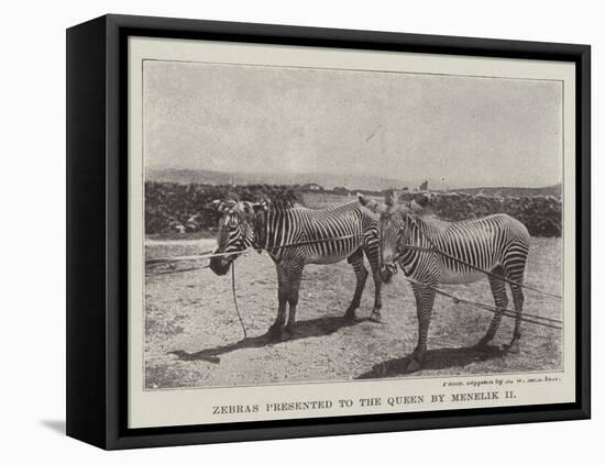 Zebras Presented to the Queen by Menelik II-null-Framed Stretched Canvas