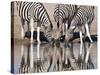 Zebras Reflected in a Water Hole, Etosha National Park, Namibia, Africa-Wendy Kaveney-Stretched Canvas