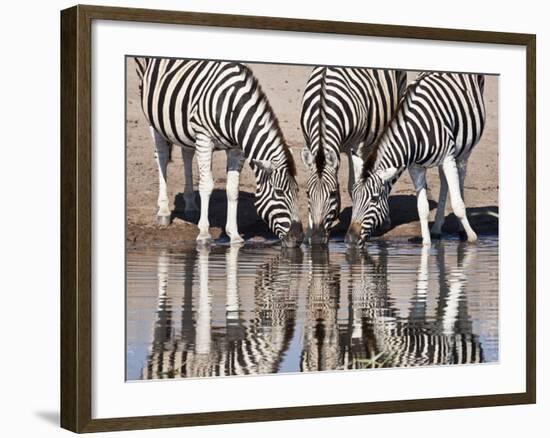 Zebras Reflected in a Water Hole, Etosha National Park, Namibia, Africa-Wendy Kaveney-Framed Photographic Print