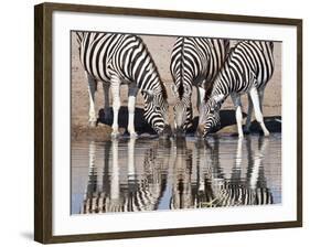 Zebras Reflected in a Water Hole, Etosha National Park, Namibia, Africa-Wendy Kaveney-Framed Photographic Print