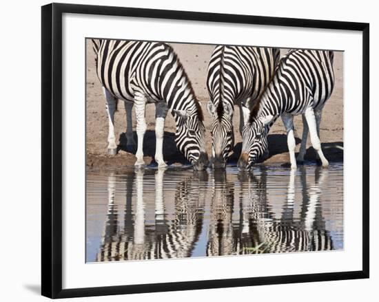 Zebras Reflected in a Water Hole, Etosha National Park, Namibia, Africa-Wendy Kaveney-Framed Photographic Print