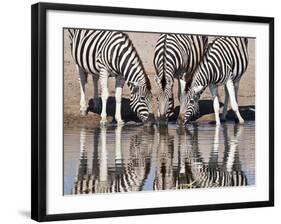 Zebras Reflected in a Water Hole, Etosha National Park, Namibia, Africa-Wendy Kaveney-Framed Photographic Print