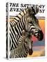 "Zebras," Saturday Evening Post Cover, June 25, 1932-Jack Murray-Stretched Canvas