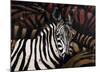 Zebras-Marianne Julie Jegou-Mounted Art Print