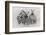 Zebras-Kirill Trubitsyn-Framed Photographic Print