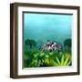 Zebras-null-Framed Art Print