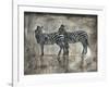 Zebras-Marta Wiley-Framed Art Print