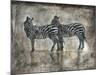 Zebras-Marta Wiley-Mounted Art Print