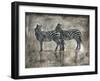 Zebras-Marta Wiley-Framed Art Print