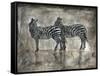 Zebras-Marta Wiley-Framed Stretched Canvas