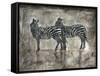 Zebras-Marta Wiley-Framed Stretched Canvas