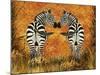 Zebras-Tina Nichols-Mounted Giclee Print