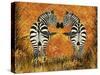 Zebras-Tina Nichols-Stretched Canvas