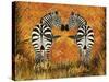 Zebras-Tina Nichols-Stretched Canvas