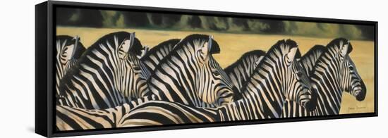 Zebras-Graeme Stevenson-Framed Stretched Canvas