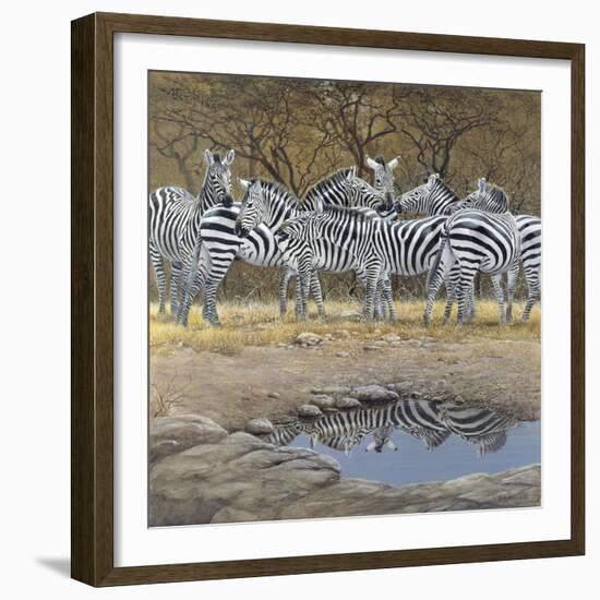 Zebras-Harro Maass-Framed Giclee Print