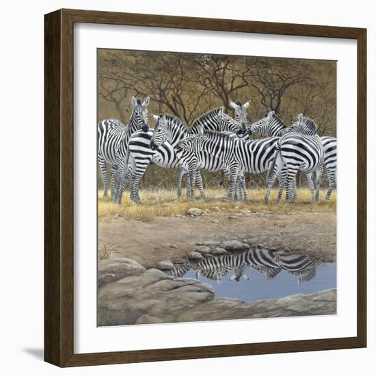 Zebras-Harro Maass-Framed Giclee Print