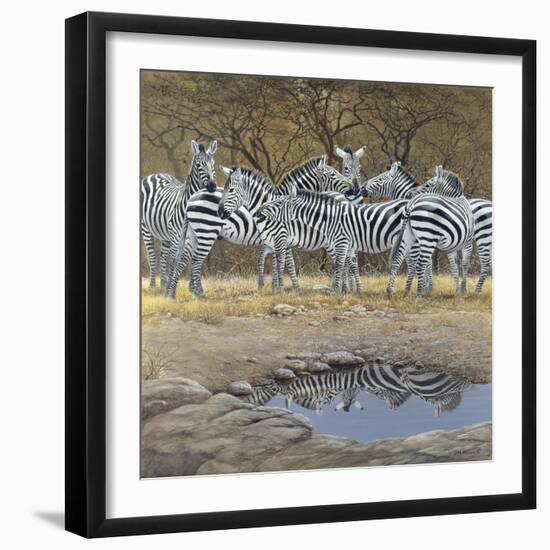 Zebras-Harro Maass-Framed Giclee Print