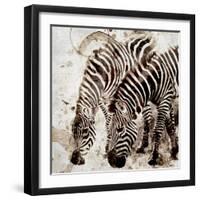 Zebras-Kimberly Allen-Framed Art Print