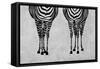 Zebras-Martina Pavlova-Framed Stretched Canvas