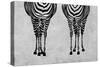 Zebras-Martina Pavlova-Stretched Canvas